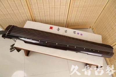 丽水市小白学古琴不会指法字符，一招带你玩转古琴20240429